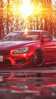 bmw m6 купе лес деревья асфальт солнце просвет