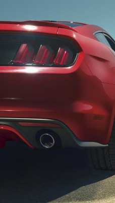 Ford Mustang авто дверь