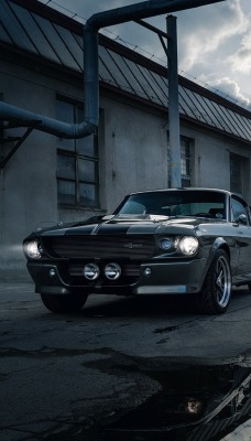 mustang eleanor старое здание труба