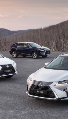 lexus rx дорога деревья горы