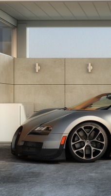 bugatti veyron кабриолет суперкар