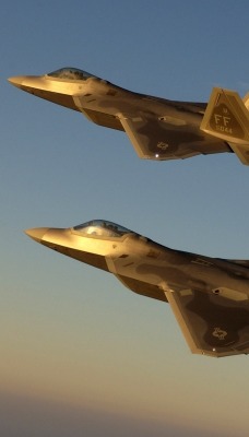Истребители F-22 Raptor