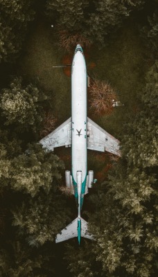 самолет лес вид сверху