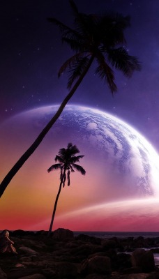 планеты космос земля пальма