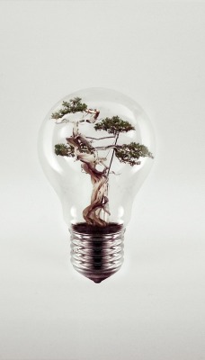 креативные растение лампа