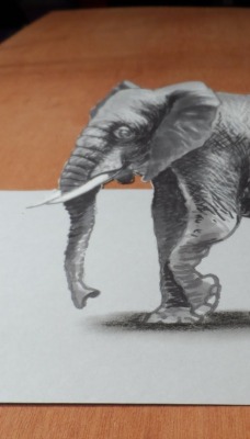 слон рисунок эффект