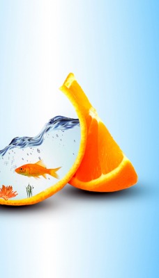 апельсин графика аквариум рыбка