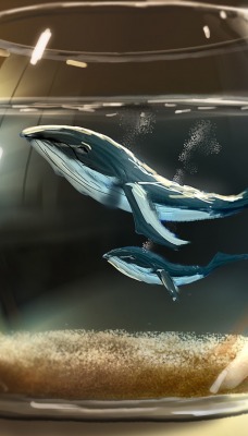 аквариум рисунок кит