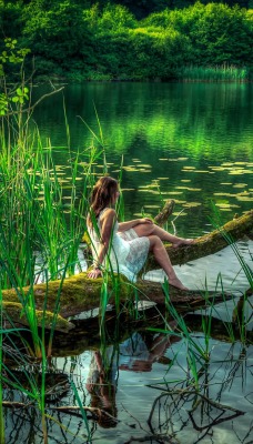 Девушка, сухое дереве, озеро