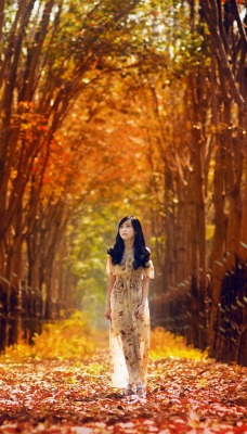 природа осень деревья девушка листья