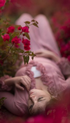 девушка роза кустовая цветы