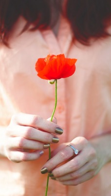 девушка руки мак цветок