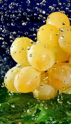 Желтый виноград под каплями