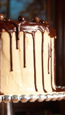 торт с шоколадом