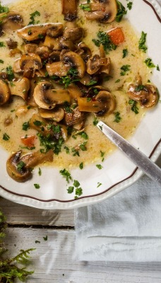 еда грибы суп food mushrooms soup