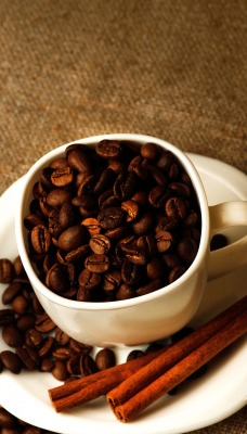 еда кофе зерна food coffee grain