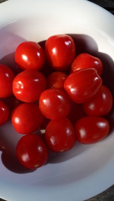 еда помидоры черри food tomatoes cherry