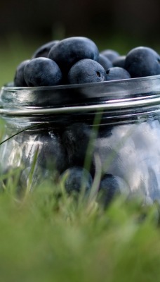 еда черника ягоды food blueberries berries