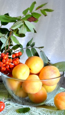 еда персики ягоды food peaches berries