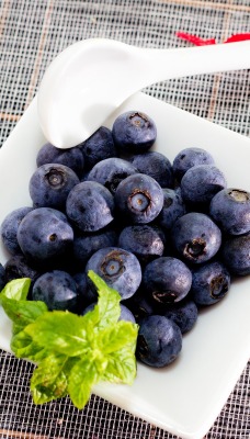 голубика ягоды тарелка blueberries berries plate