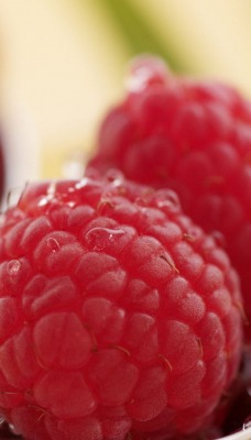 малина макро raspberry macro