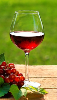 вино бокалы