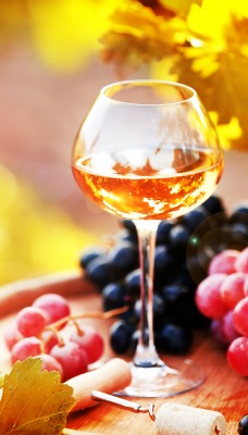еда вино виноград