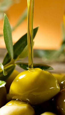 еда оливки масло