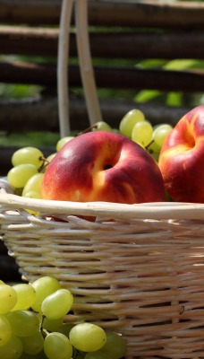 корзина фрукты яблоки виноград