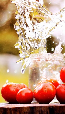 помидоры брызги вода банка