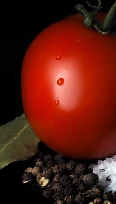 томат помидор соль темный фон