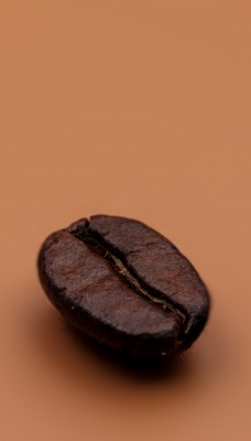 кофе зерно минимализм