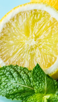 лимон цитрус разрезанный мята лист крупный план