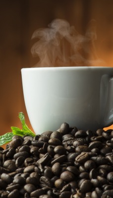 чашка кофе зерна горячий пар