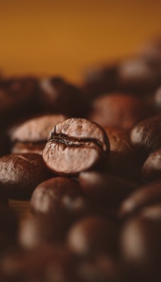 кофе зерна макро