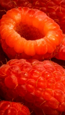 малина ягоды спелая