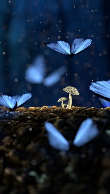 бабочки фантастика неон грибы свечение