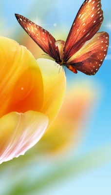 Природа бабочка насекомоец желтый цветок тюльпан