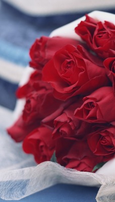 природа розы букет красные цветы