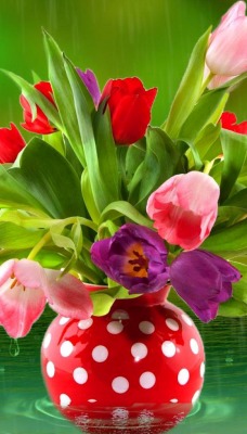 цветы букет ваза flowers bouquet vase