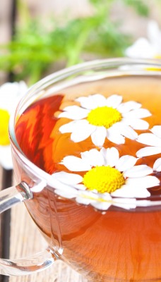 ромашка чай цветы доски