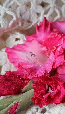 цветы розовые капли букет