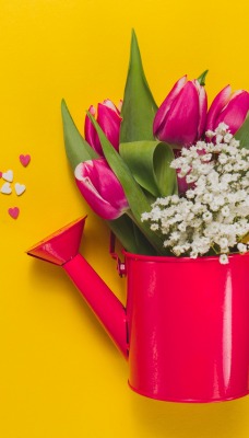 тюльпаны букет цветы минимализм лейка