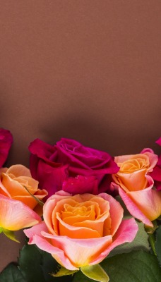розы букет цветы