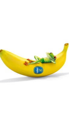 Лягушка на банане