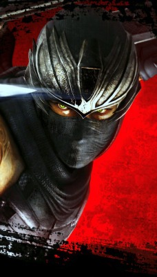 Ninja Gaiden игра