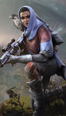 Hawthorne Destiny 2 девушка винтовка сокол