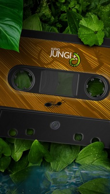 Jungle Audio