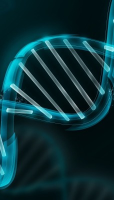 графика ДНК