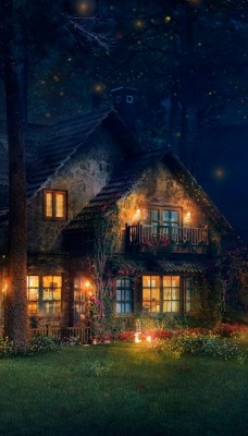 дом лес огни ночь